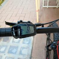ebike gas gas