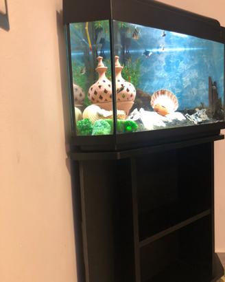Acquario