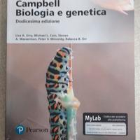 libri università 