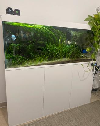 Acquario