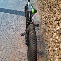 Fat Bike