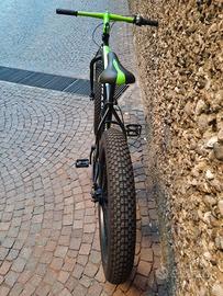 Fat Bike