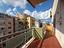 Immagine 25