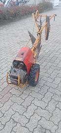 ARATRO TALPINO