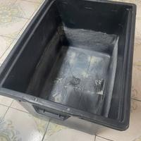 Mastello in plastica