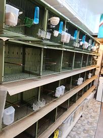 batteria da 90 con sistema carta 