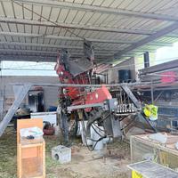 Scuotitore Verdegiglio