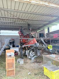 Scuotitore Verdegiglio