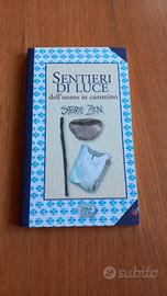 Sentieri di luce dell'uomo in cammino Storie zen