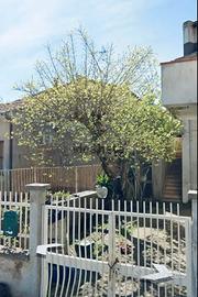 Appartamento con giardino Florinas