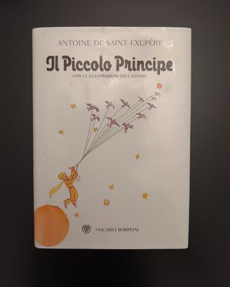 Il piccolo principe