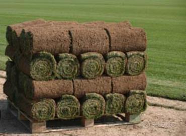 rotoli di erba vera pronto uso..