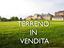 Immagine 8