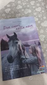 "Due cuori nella neve " Romanzo