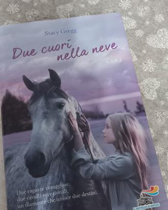 "Due cuori nella neve " Romanzo