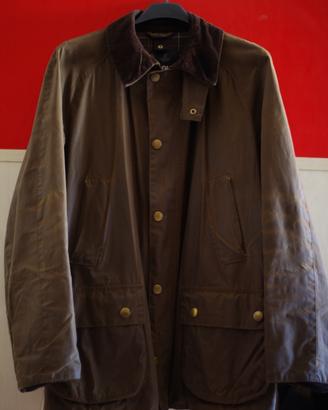 Barbour ashby