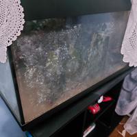 Acquario 100 litri + supporto