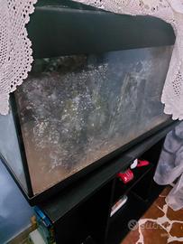 Acquario 100 litri + supporto