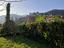 Immagine 22