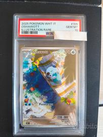 Pokemon oshawott PSA 10 