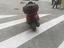 Immagine 2