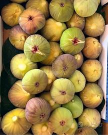 Cassetta fichi