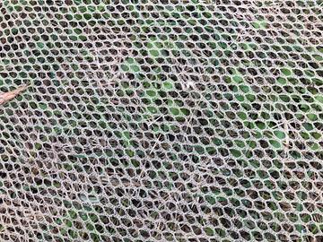 Teli reti da olive antiscivolo