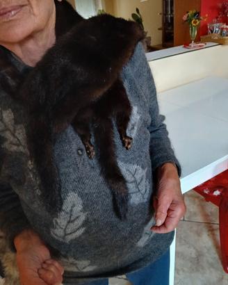 stola di visoni interi