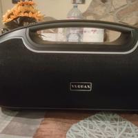 cassa bluetooth