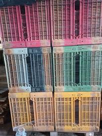Cassette di plastica