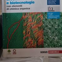 Il carbonio, gli enzimi, il dna