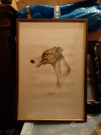 Due quadri con ritratto cani firma Reggio.