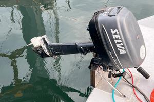 Motore fuoribordo Selva Blackbass 7.5cv - 4 tempi