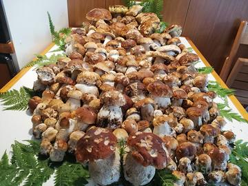 DOLOMITI casa vacanza grande terrazzo