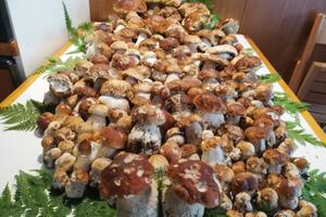 DOLOMITI casa vacanza grande terrazzo