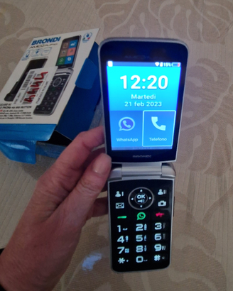 Cellulare BRONDI AMICO FLIP 46+