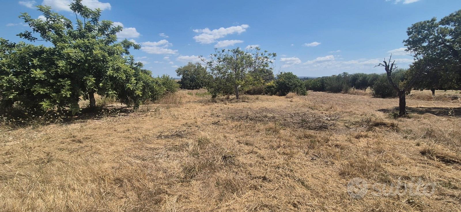 Terreno agricolo + Rudere 70 mq - Vista 3