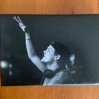 Quadro di Avicii