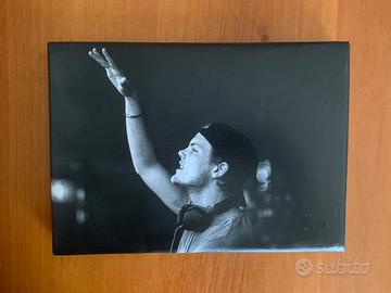 Quadro di Avicii