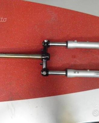 Forcella ant. completa Aprilia Sonic 50 AP8203980
