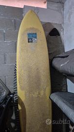 tavola surf fish indio 8