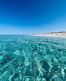 Casa vacanza Cabras Sardegna-5 posti-