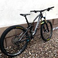 Canyon strive 8.0 M