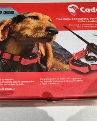 Benelli Caddy colare GPS tracciamento