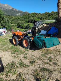Pasquali 33 cavalli