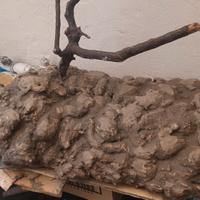  si effettuano  sfondi 3d e allestimento  terrario