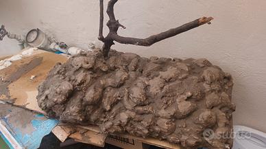  si effettuano  sfondi 3d e allestimento  terrario