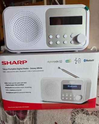 SHARP DIIGTAL RADIO PORTATILE