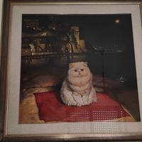 quadro del maestro Virginio Quarta "notturno"