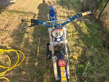 beta trial 250